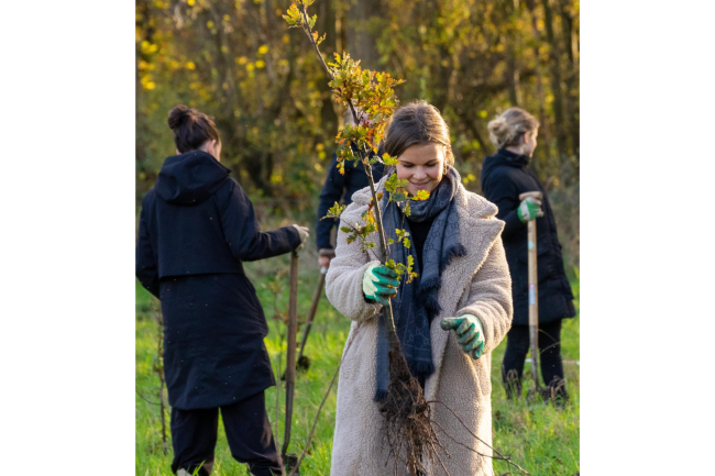 Boomplantdag 